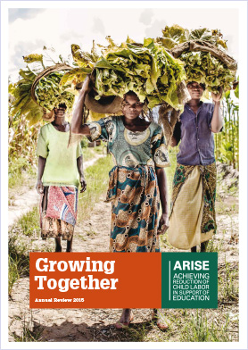 ARISE Annual Review 2015