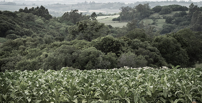 ARISE inspires farmer